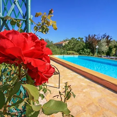 Poolside Compact Family Blum Holiday home *
